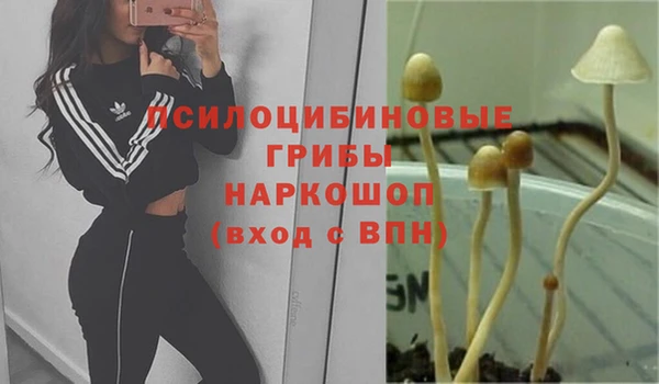 дистиллят марихуана Протвино