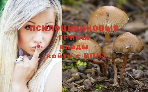 дистиллят марихуана Протвино