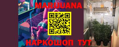 гидра Кингисепп