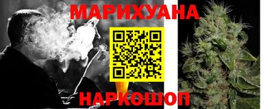 гидра Кингисепп