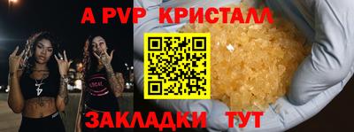 гидра Кингисепп