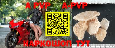 гидра Кингисепп