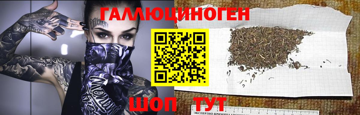 Сертолово  Галлюциногенные грибы прущие грибы  закладка  Вход с VPN 